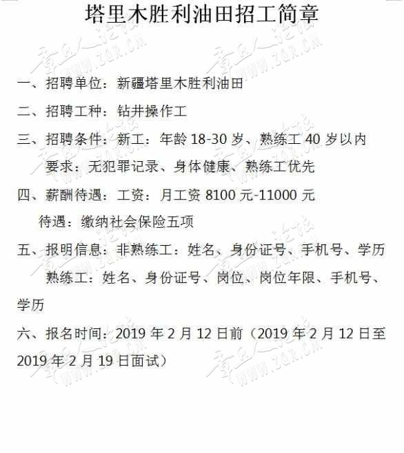 东营油田最新招聘动态与产业影响分析